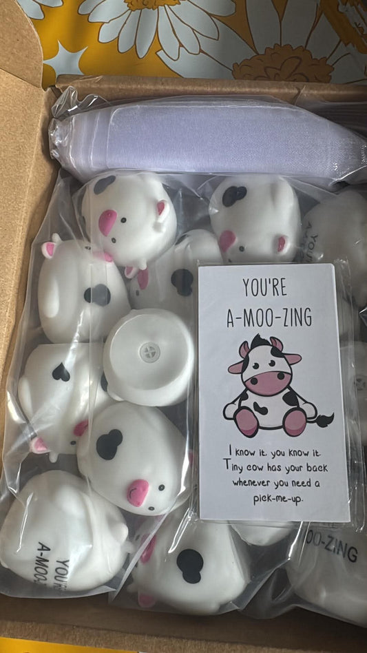Package/Gift Basket Fillers