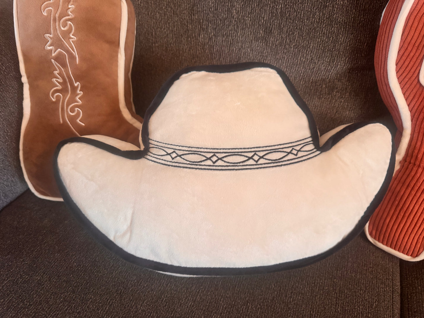 Western Throw Pillows