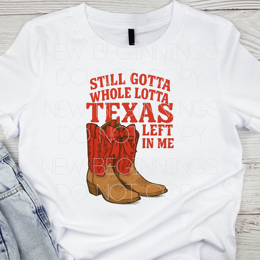 Whole Lotta Texas Left In Me